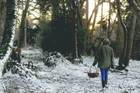 Winter Foraging Image